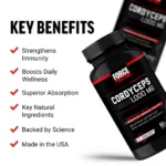 Force Factor Cordyceps 1,000mg 60 Capsules - Image 4